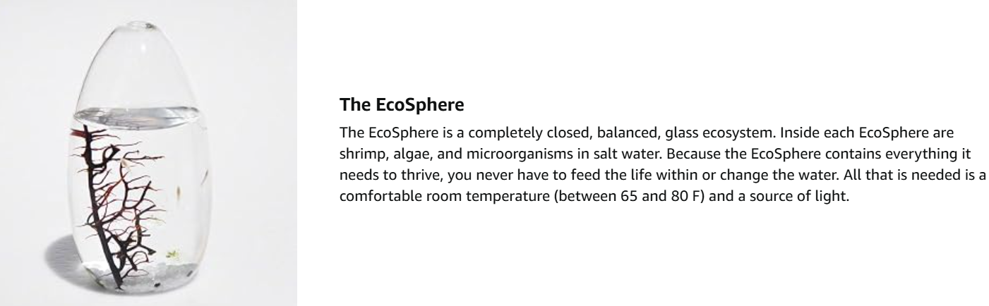EcoSphere Company Values