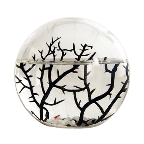EcoSphere- Closed Ecosystem, Small Round Sphere 4″ with 2-3 Shrimp