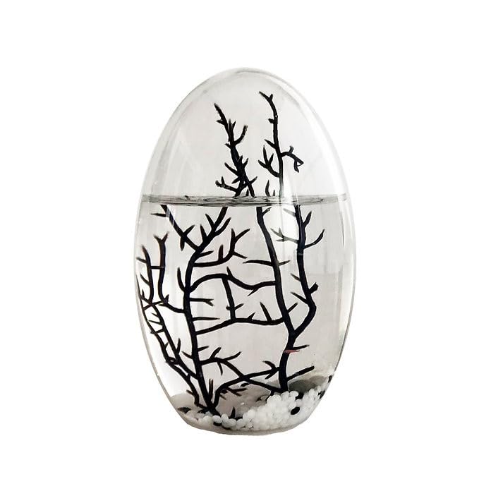 EcoSphere- Closed Ecosystem, Small Oval 5″ with 2-3 Shrimp