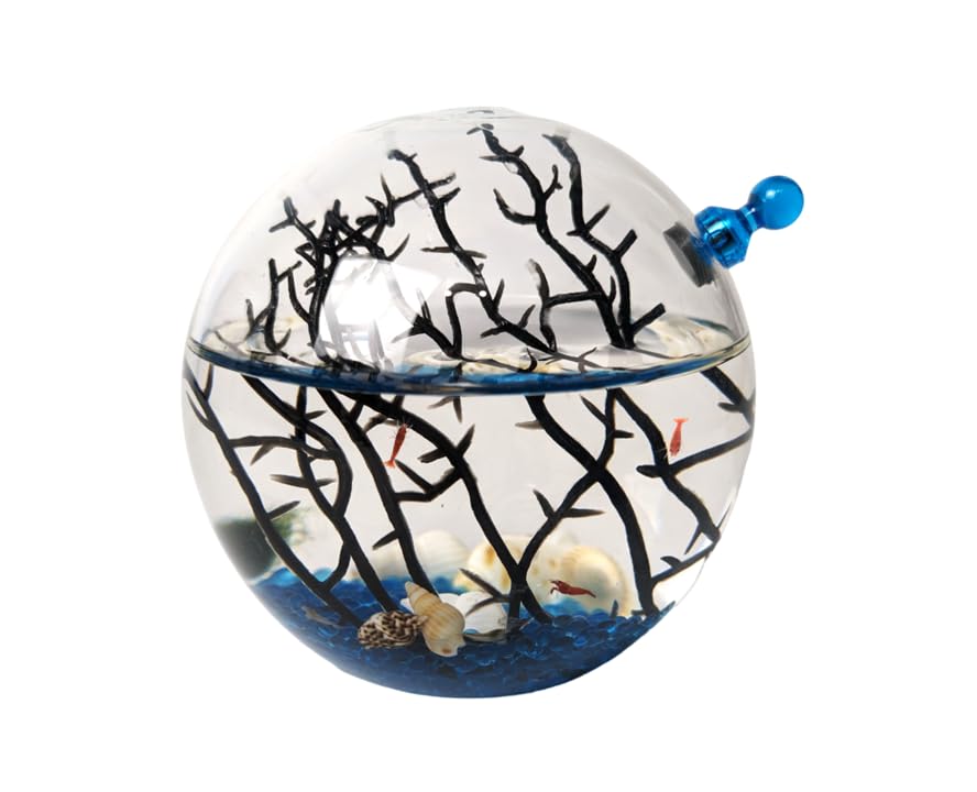 Ecosphere - Closed Aquatic Ecosystem Small Round