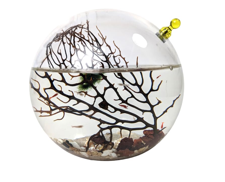 EcoSphere Glass Self Sustaining Shrimp Ecosphere Large