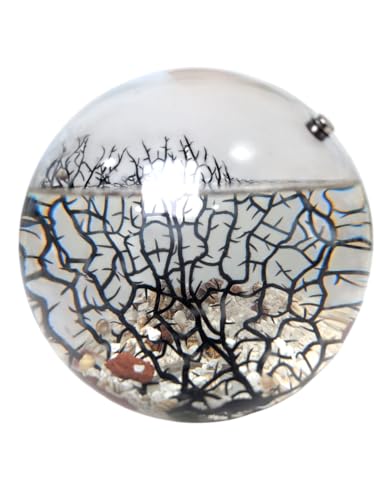 EcoSphere Glass Self Sustaining Shrimp Ecosphere Extra Large