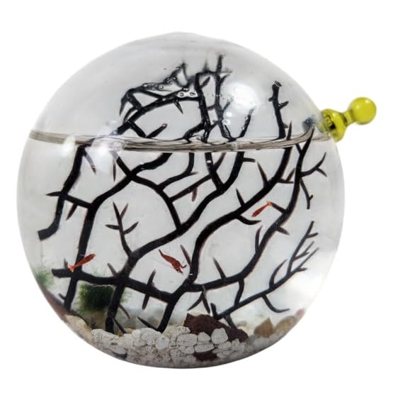 EcoSphere Small Glass Self Sustaining Shrimp Ecosphere by ShrimpsCity